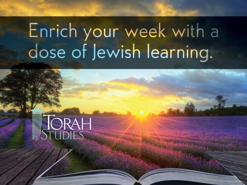 Torah Studies