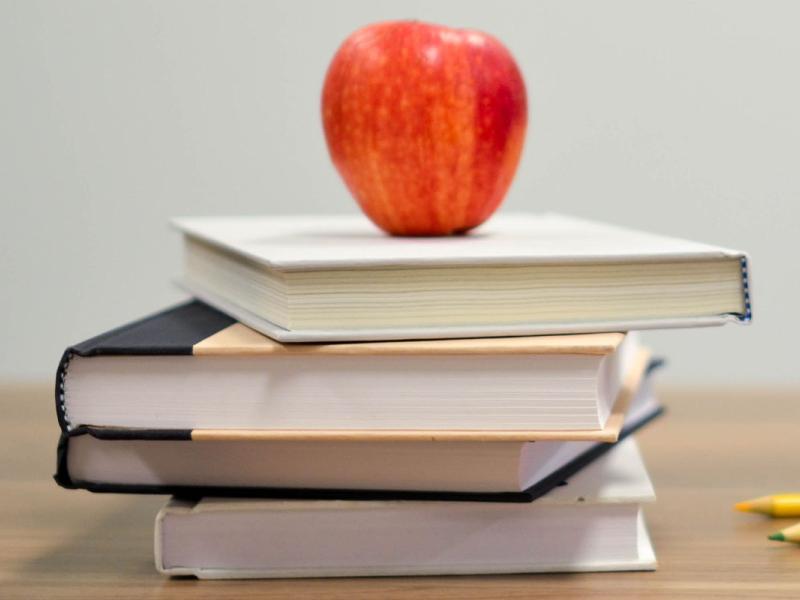 MINI JUDA Curriculum